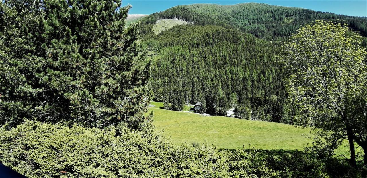 Chalet Wiesernock Bad Kleinkirchheim Bagian luar foto